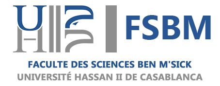 logo-fsbVF